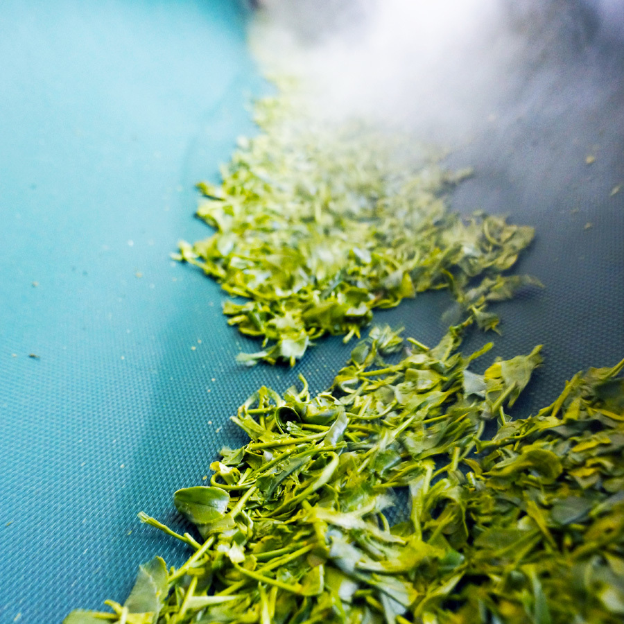 お茶をじっくり蒸し上げる